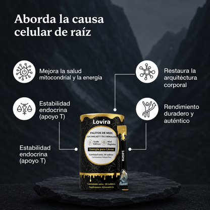 Barritas de Miel Dorada Shilajit del Himalaya Puro